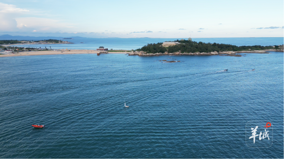 事举办, 七十余场, 结合各类赛 事举办, 七十余场, 结合各类赛